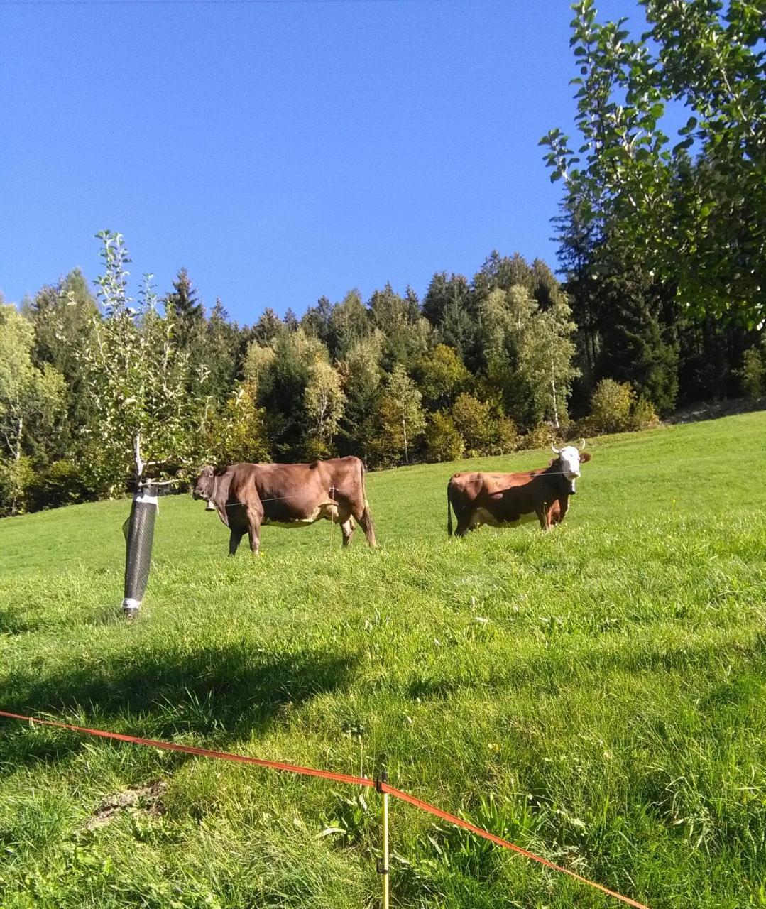 Stockhof Apartment Zell am Ziller